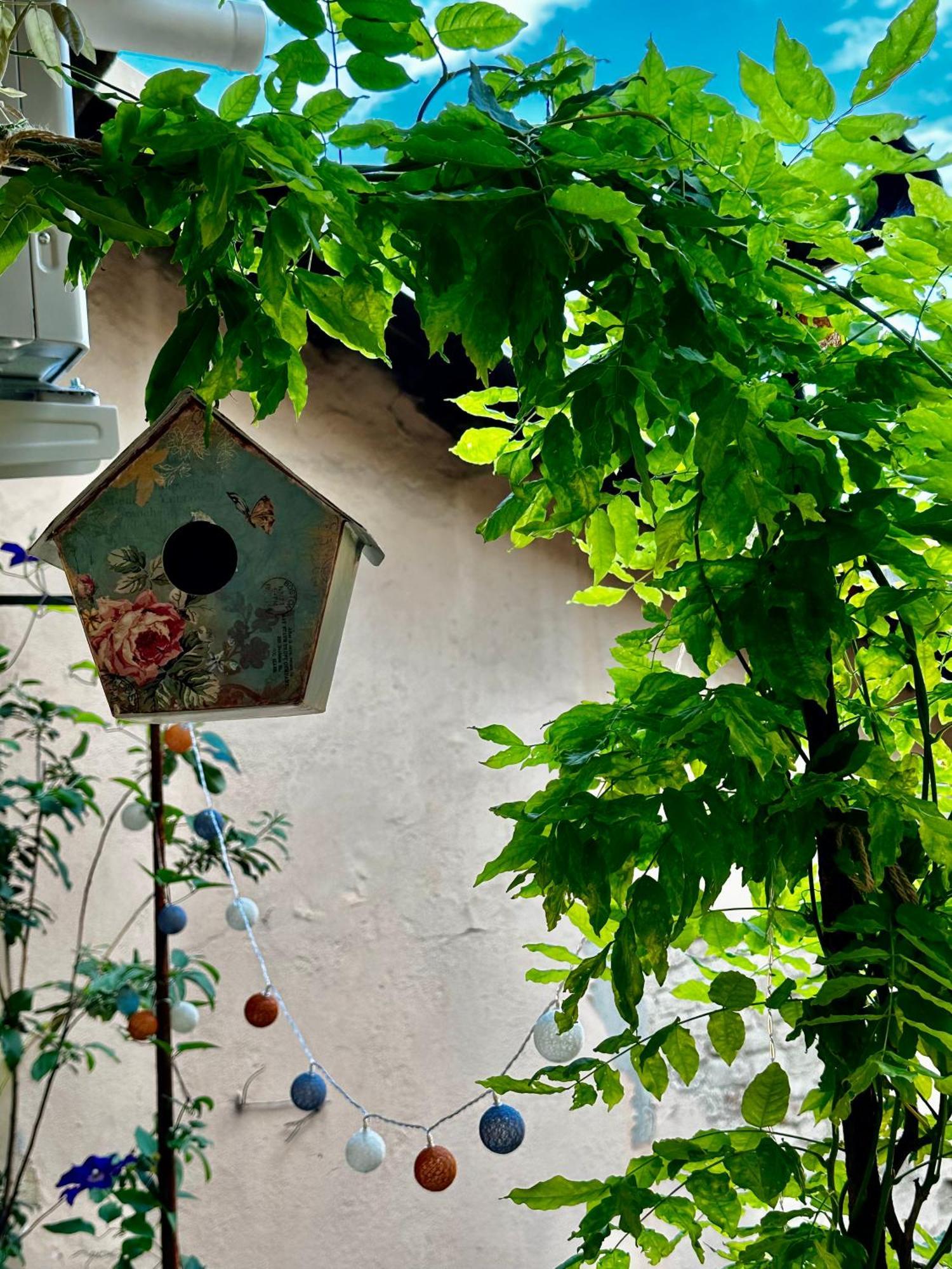 Appartamento Il Balconcino Del Centro Storico Torino Esterno foto