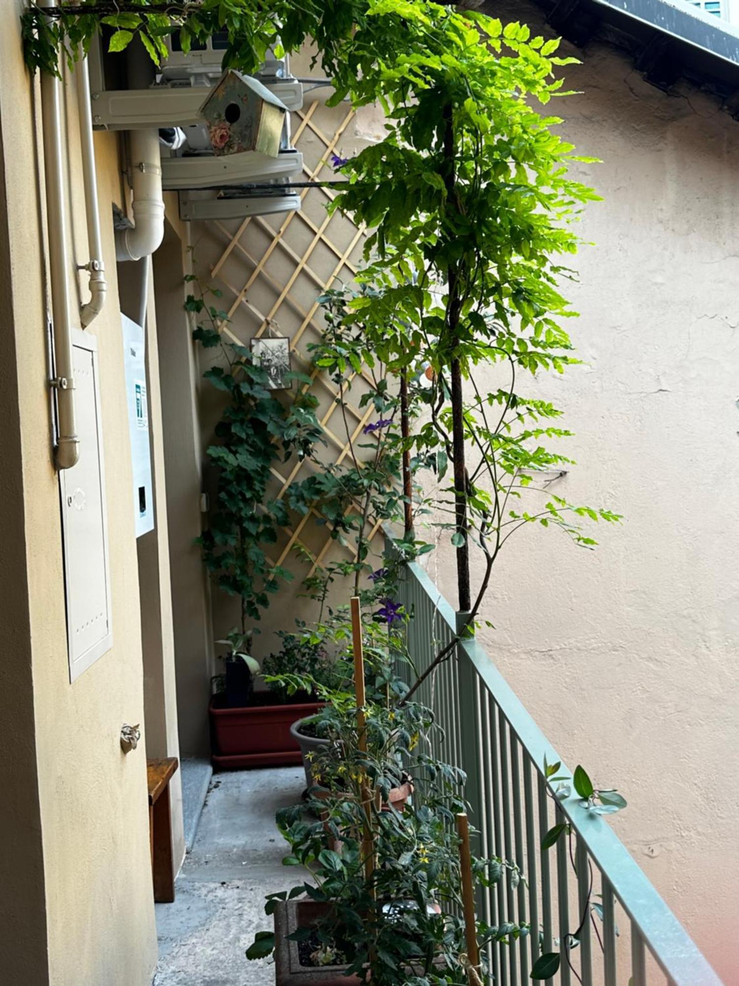 Appartamento Il Balconcino Del Centro Storico Torino Esterno foto